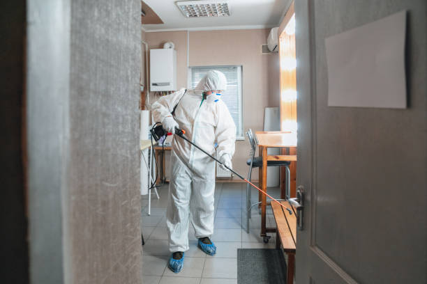 Best Commercial Mold Inspection  in Eveleth, MN