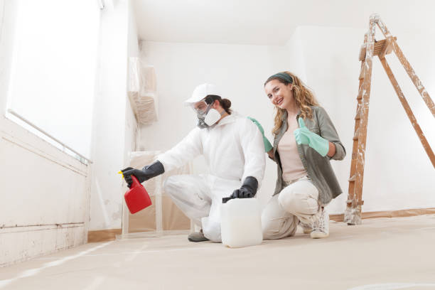 Trusted Eveleth, MN Mold Removal Experts